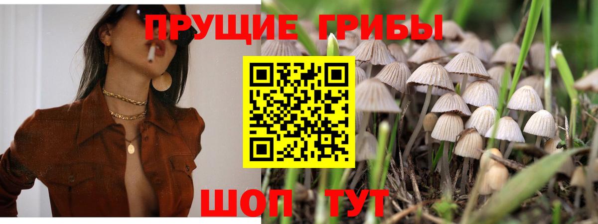 Псилоцибиновые грибы прущие грибы  Галлюциногенные грибы мицелий  купить   Советск  Вход с VPN 