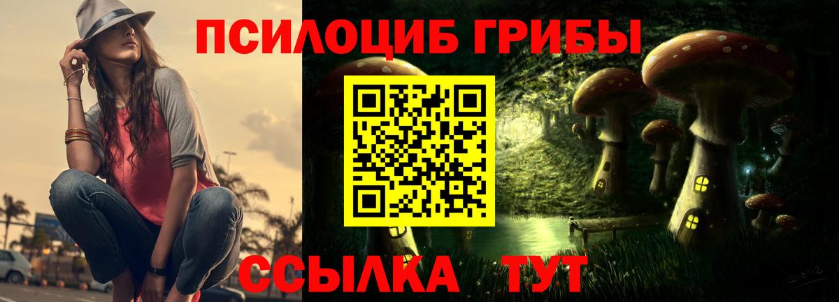 Псилоцибиновые грибы мухоморы Советск